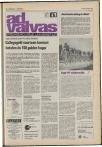 Ad Valvas 1980-1981 - pagina 51