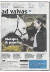 Ad Valvas 2008-2009 - pagina 383