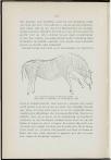 1909-1910 Orgaan van de Christelijke Vereeniging van Natuur- en Geneeskundigen in Nederland - pagina 190