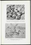 1954 Geloof en Wetenschap : Orgaan van de Christelijke vereeniging van natuur- en geneeskundigen in Nederland - pagina 121