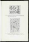 1955 Geloof en Wetenschap : Orgaan van de Christelijke vereeniging van natuur- en geneeskundigen in Nederland - pagina 199