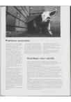 VU Magazine 1998 - pagina 239